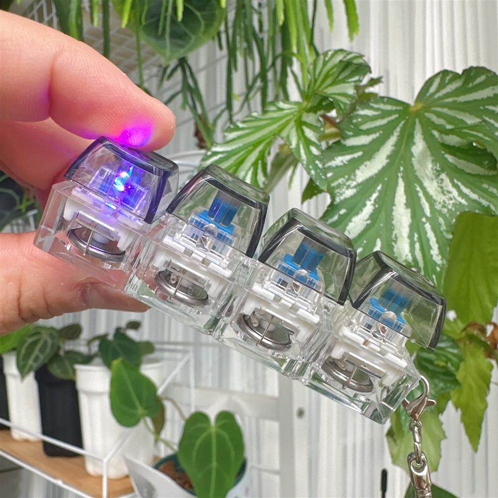 LED Light Up Fidget Keychain,  - Keyboard Switch Tester 评论和价格